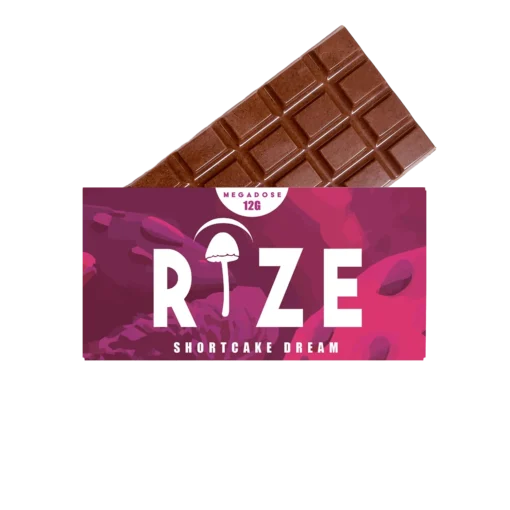 Rize Mushroom Chocolate