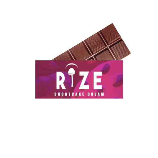 Rize Mushroom Chocolate